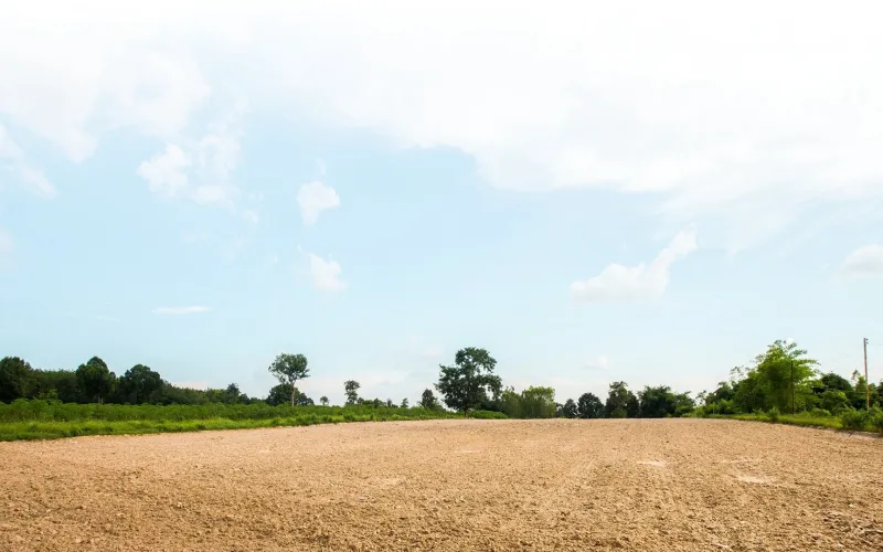 Open, cleared land ready to be developed into lots